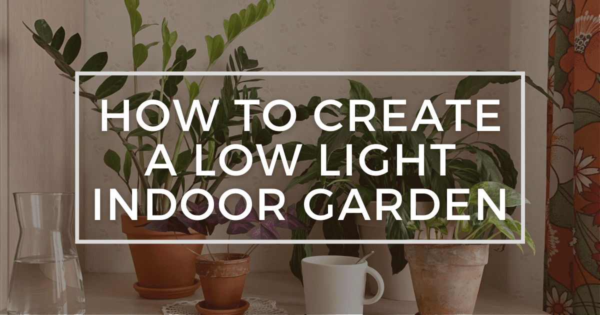 You are currently viewing How to Create a Low Light Indoor Garden